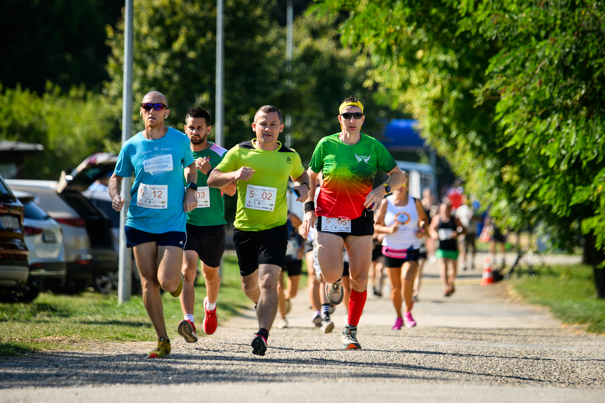 VIII. Nyergesi Szomszédoló